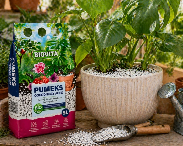Pumeks-ogrodniczy-5L-Biovita-Agro-drenaz-podloze-pumeks-wulkaniczny-do-roslin_[49870]_1200.jpg